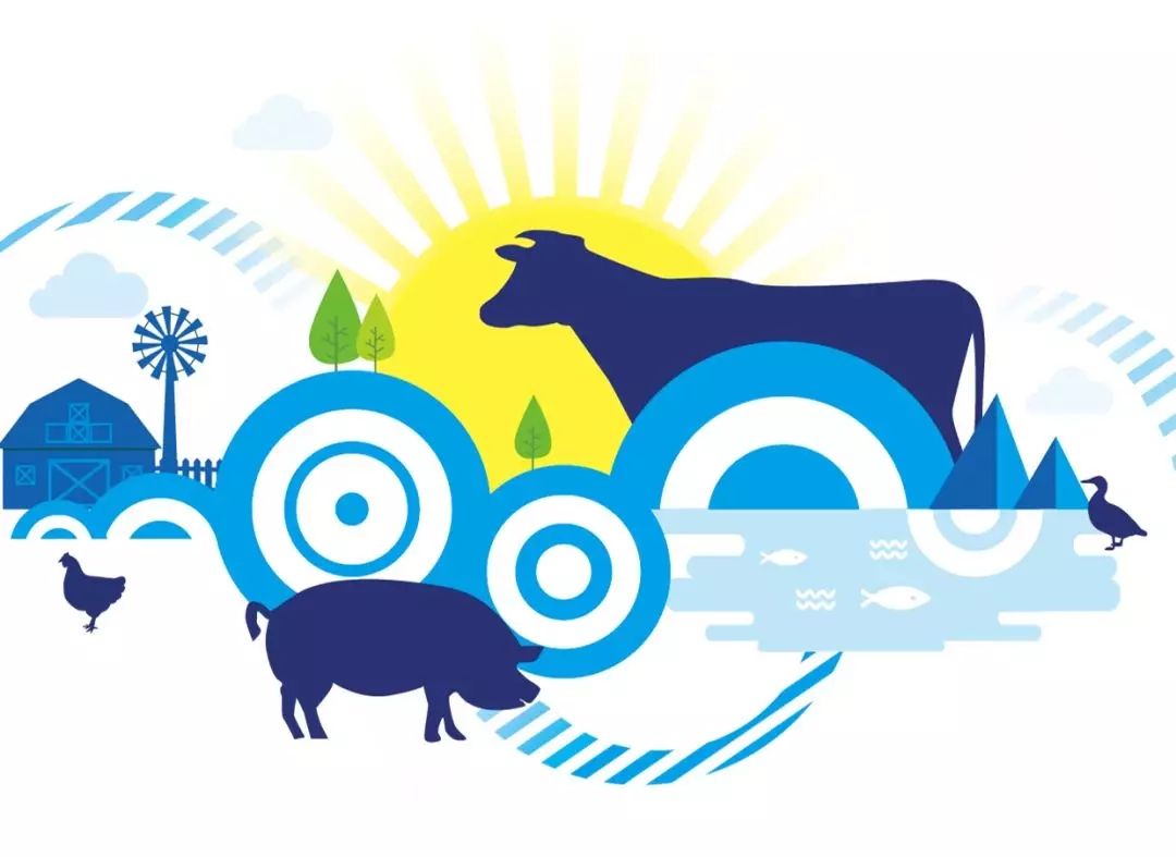 必硕科技将参加2019年印尼国际畜牧展