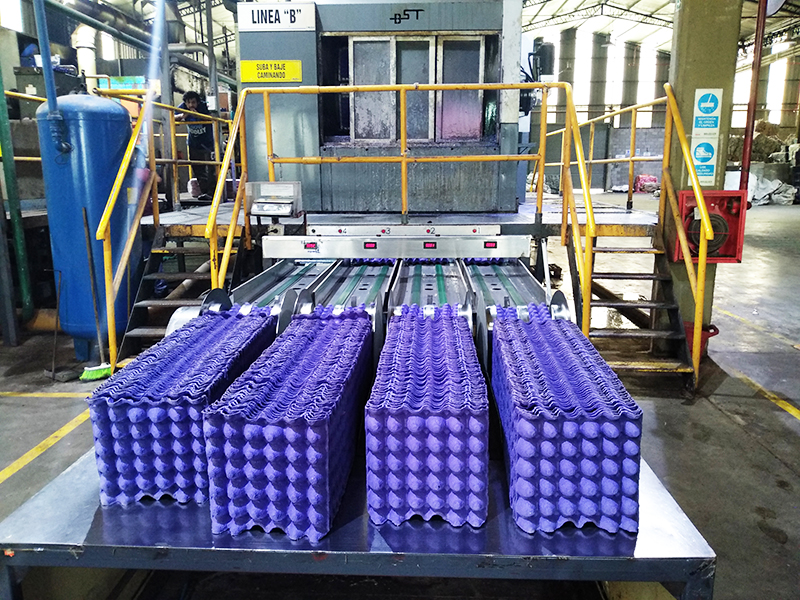 Линия по производству лотков для яиц в Аргентине
