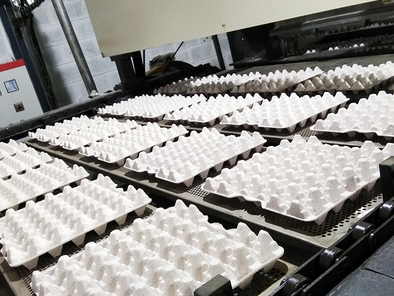 Линия по производству лотков для яиц в Доминике